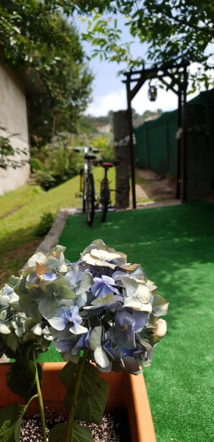 Quinta De Carvalhal - Casa De Campo กิมาไรส์ ภายนอก รูปภาพ